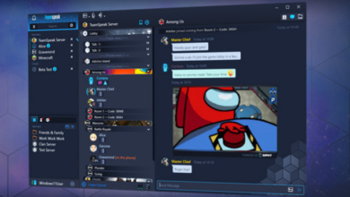 teamspeak website image